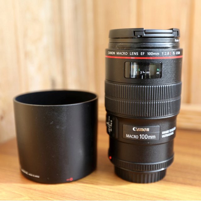Запечатлейте мир с Canon: Исследование возможностей